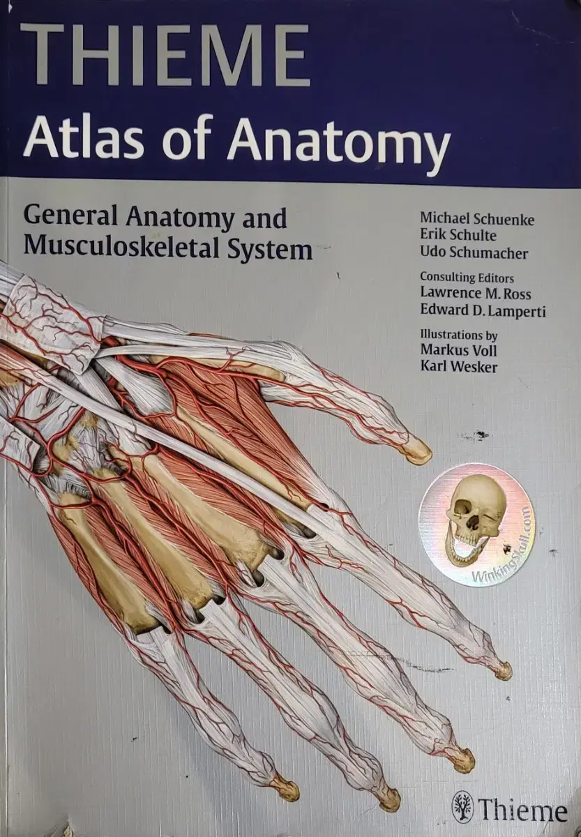 thieme atlas of anatomy